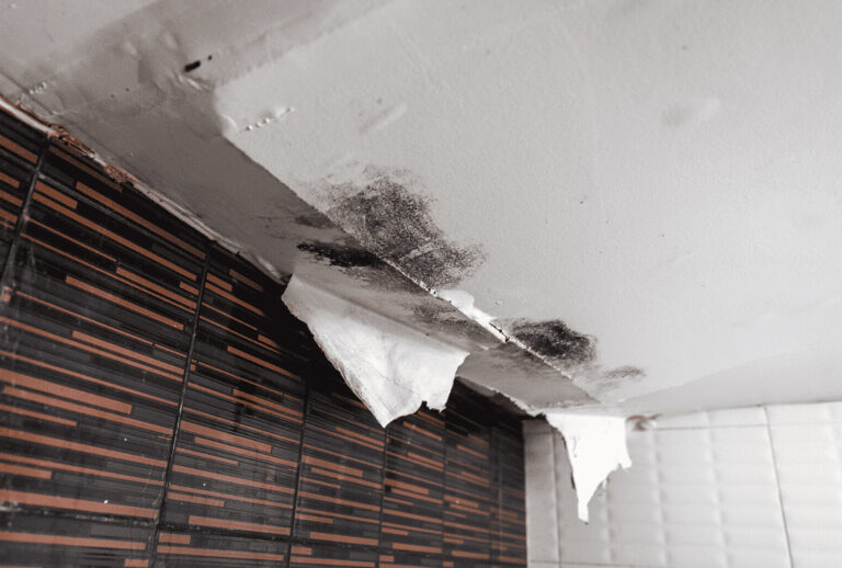 Causes of Major Structural Damage To A Home? - HiTech FM