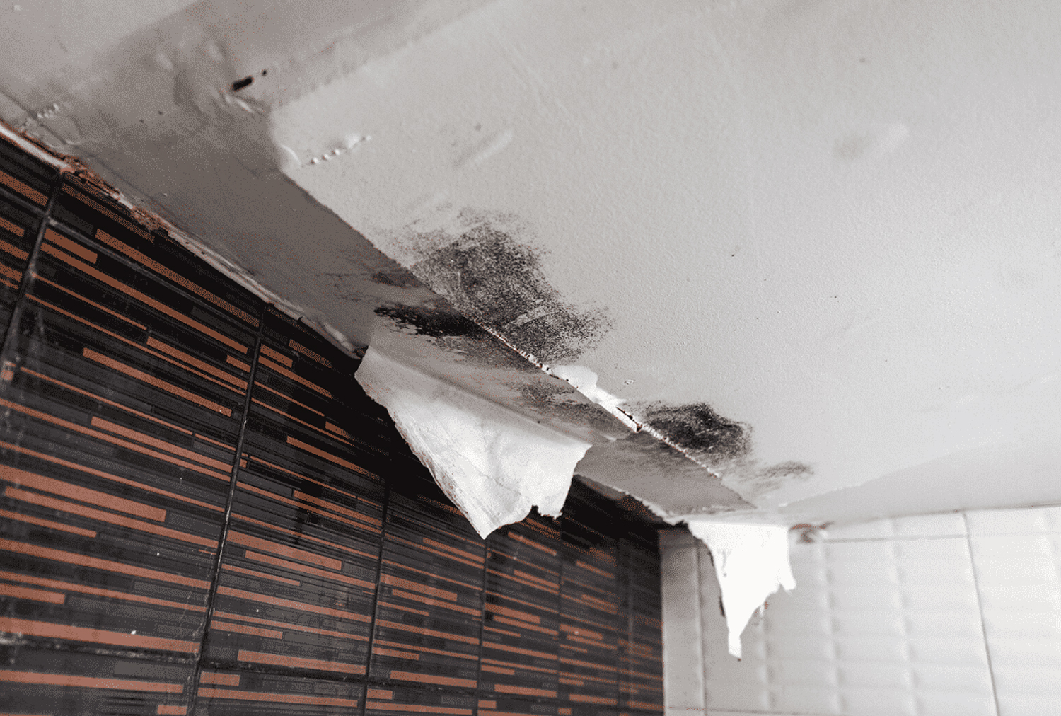 Causes of Major Structural Damage To A Home