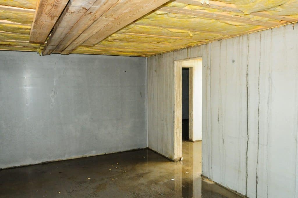 What to Do if Your Basement is Flooded
